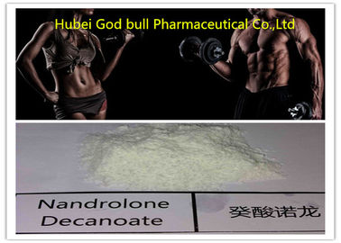 China 360-70-3 Steroid, Medische Spier die van deca Durabolin Anabole Steroïden bouwt leverancier