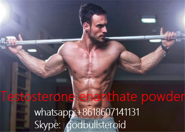 China witte het testosteroninjectie van het testosteron enanthate ruwe steroid poeder leverancier