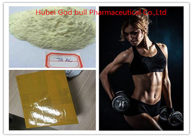 China Mondelinge Trenbolone-Anabole Steroid Hormonen 10161-34-9 Zuiverheid 99% van Acetaattren leverancier