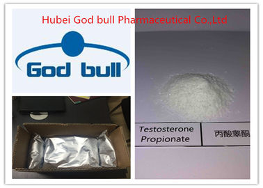 China Anabool Steroid het Testosteronpropionaat CAS 57-85-2 van het geschiktheidstestosteron leverancier