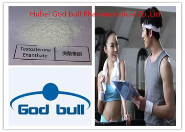 China De menselijke Spier die van het de Groeihormoon Anabool Steroïdentestosteron Enanthate bouwt leverancier