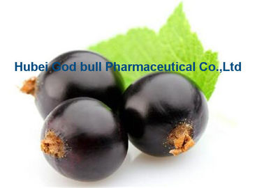 China Donker Purper Blackcurrant Uittreksel Ribes Nigrum L voor het Anti Verouderen CAS 84082-34-8 leverancier