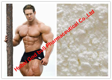 China Farmaceutisch Testosteron Anabool Steroïden/Muslce-Aanwinstenhormoon 99% Assy, ISO9001 leverancier