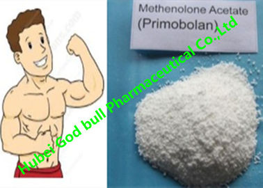 China Androgene Anabole Steroïden 207-097-0 Spier Primobolan van de Methenoloneacetaat leverancier