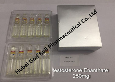 China de injectie250mg/ml 1ml/vial super kwaliteit van testosteron enanthate Injecteerbare Anabole Steroïden leverancier
